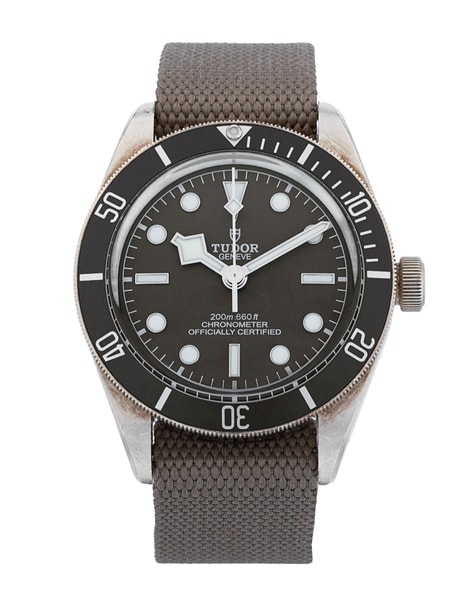 Tudor Black Bay 58 M79010SG-0002